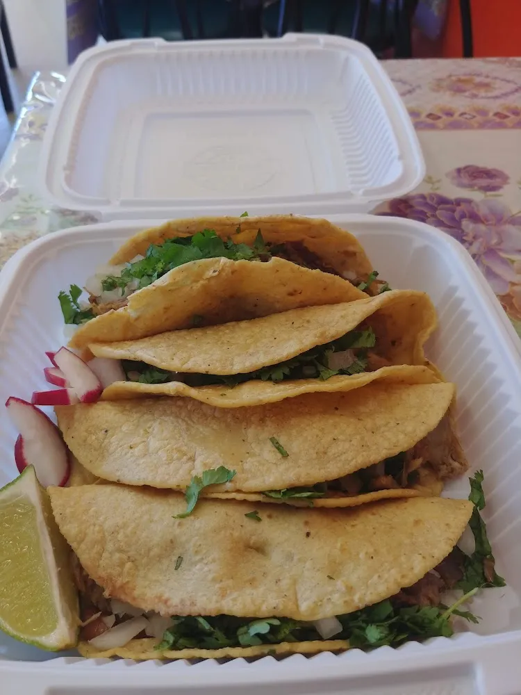 Carnitas Taco